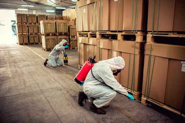 Best Mosquito Control Services  in Avon, CO