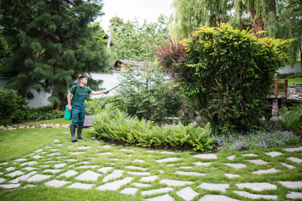 Best Ant Control Services  in Avon, CO