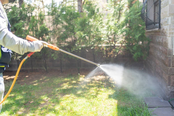 Trusted Avon, CO Pest Control Experts